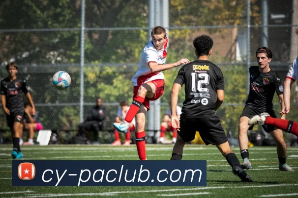 PA官方入口APP 封面图